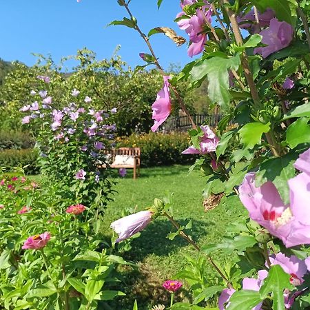 Apartamentos Calm & Nature - Adults Only Cabezón de Liébana Екстериор снимка