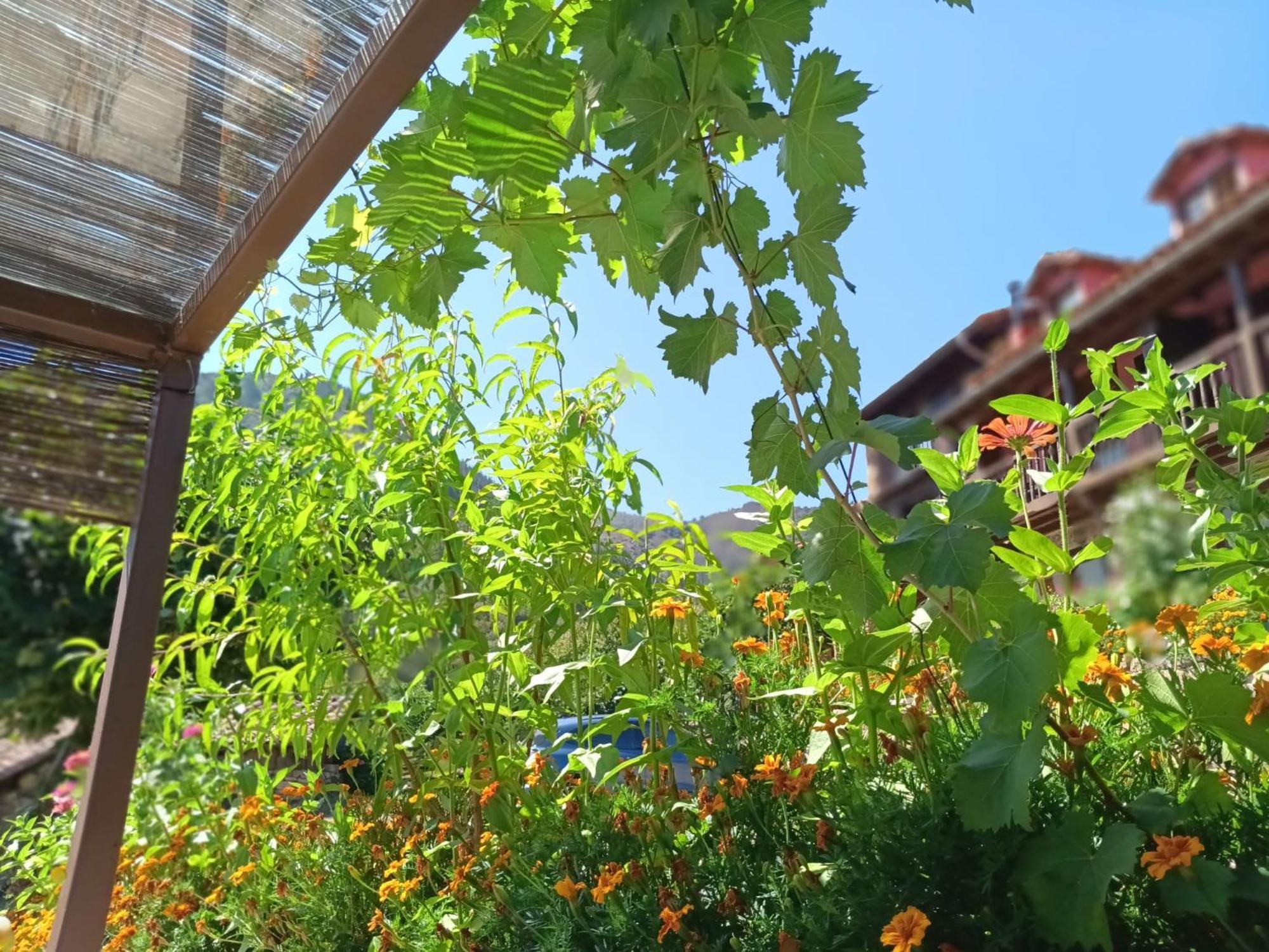 Apartamentos Calm & Nature - Adults Only Cabezón de Liébana Екстериор снимка