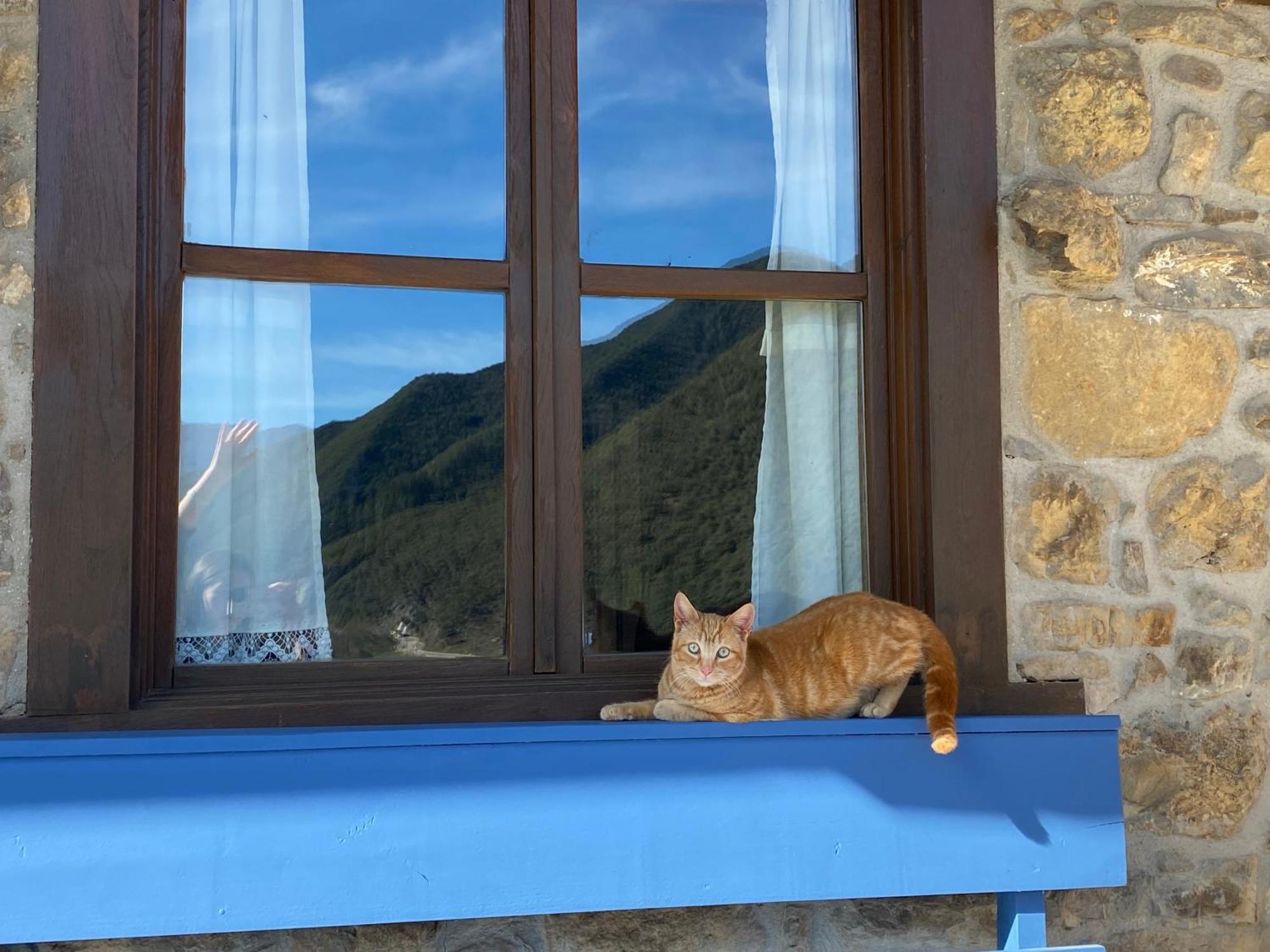 Apartamentos Calm & Nature - Adults Only Cabezón de Liébana Екстериор снимка